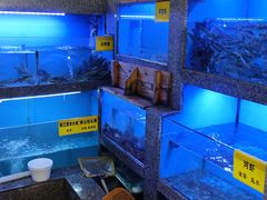 -陈先进鱼馆·地道农家菜(湖墅南路店)