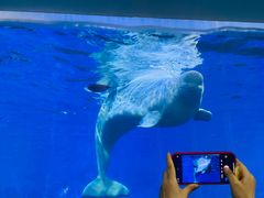 -泉城欧乐堡海洋极地世界