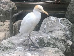 -吉隆坡雀鸟公园