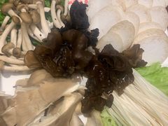 菌类拼盘-仁和四季涮肉馆(天坛南门店)