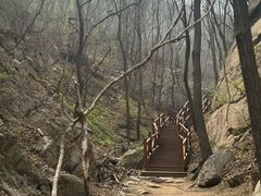 -大岭沟猕猴桃谷风景区