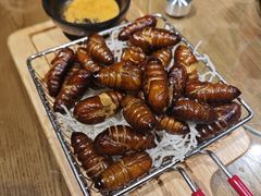 -鸽子窝(青塔店)