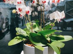 -上海辰山植物园