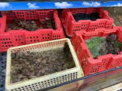 -坛南湾阿强农家乐.海鲜大排档老字号(福州地标美食店)