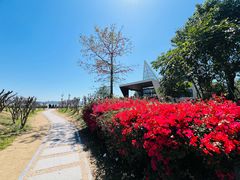 -深圳湾公园(南山区)