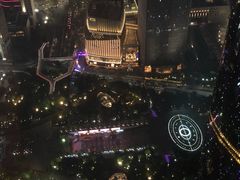-广州柏悦酒店·悦景轩·粤菜餐厅