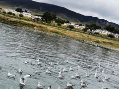 -青海湖国家重点风景名胜区