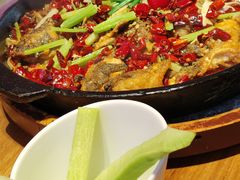 -老板恋上鱼(恒隆广场店)