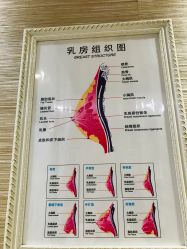 -成都伊贝丝美容美胸SPA会所
