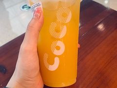 -CoCo都可(铁西万达店)