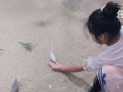 -上海大自然野生昆虫馆(东方明珠·爬宠昆虫探索中心)