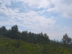 -阳台山自然风景区