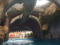 -重庆海昌加勒比海水世界