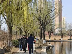 -前关湿地公园