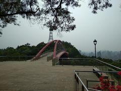 -金鸡山公园