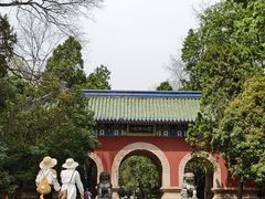 -灵谷景区