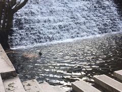 -少华山国家森林公园