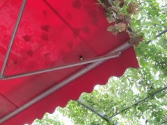 -伊隆斋(什刹海店)