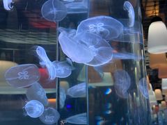 -欢乐海岸海洋奇梦馆
