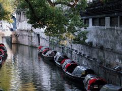 -绍兴鲁迅故里·沈园景区