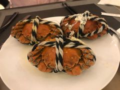 -安蒂娅·海鲜自助餐厅(安蒂娅美兰酒店)