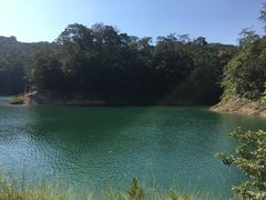 -广州市流溪河国家森林公园