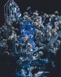 -仟漫私人婚礼定制(纳帕溪谷后湾店)