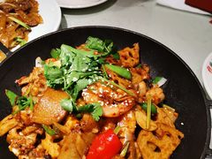 -南枝记