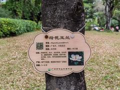 -广州珠江公园