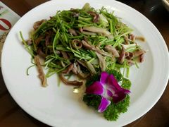 芫爆肚丝-致美楼(前门店)