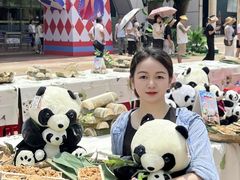 -灵玲国际马戏城