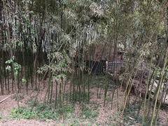 -兴教寺