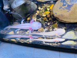 -Zoolung Zoolung动物主题公园(海信广场店)