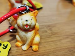-柴迷FANS CLUB·柴犬狗咖·猫咖