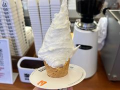 -野人先生Gelato(上海长宁龙之梦店)