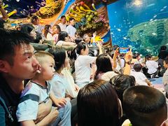 -太奥幻太奇海洋馆