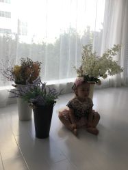 -范叔叔儿童摄影生活馆(芝麻开门欢颜店)