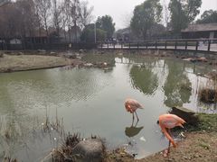-上方山森林动物世界