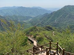 -大岭沟猕猴桃谷风景区