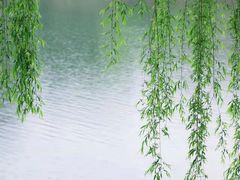 -华凌山庄·隐湖栖