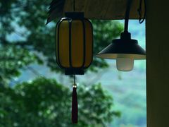 -杨家堂村