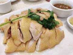 -巫记鸡饭店