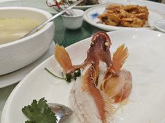 -德兴海鲜渔港(辉煌大厦店)