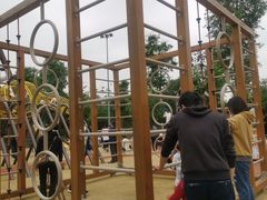 -枫香湖儿童公园