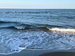 -三亚亚龙湾金棕榈度假酒店