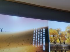 -西域胡氏大盘鸡(谈固店)