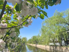 -元大都城垣遗址公园