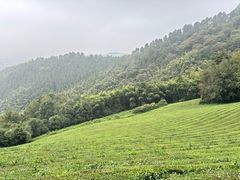 -敬亭山风景名胜区