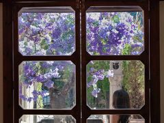 -Lamant Manor已闻花名关於蓝