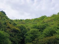 -秦岭风景区